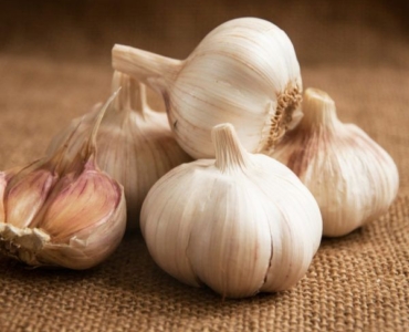 Fresh Garlic