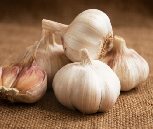 Fresh Garlic