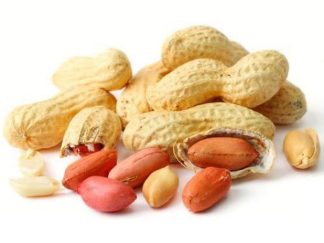 Groundnut.jpg