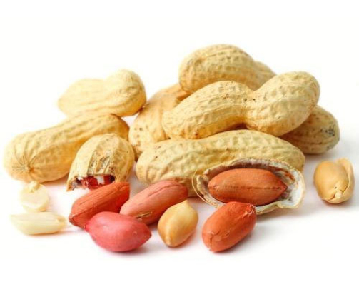 Groundnut.jpg