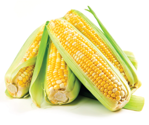 Yellow and white corn