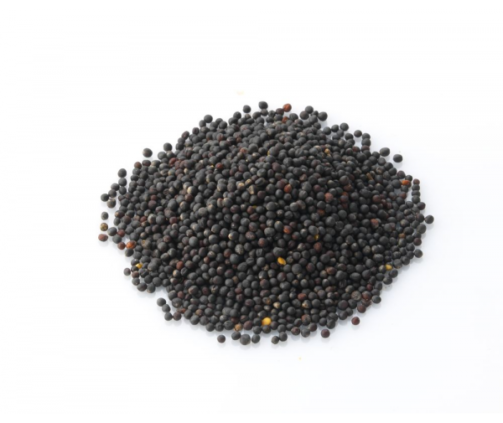 blackrapeseed