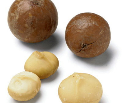 macadamia-nuts.jpg