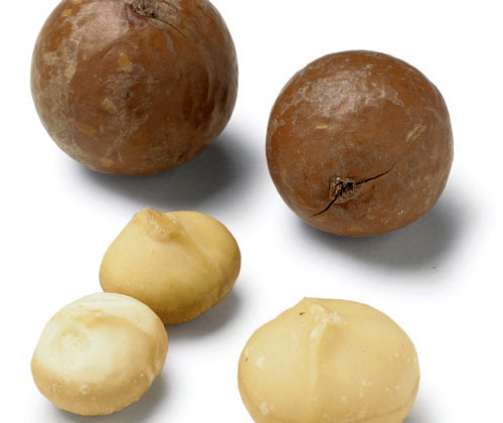 macadamia-nuts.jpg